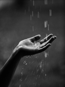 hand-in-rain